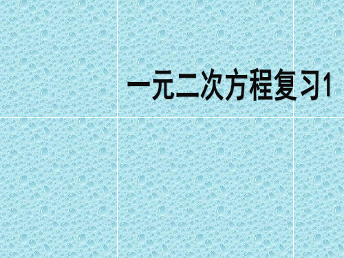 沪教版(上海)初中数学八年级第一学期 17.2 一元二次方程的解 课件 