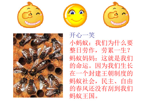 5..2.3社会行为