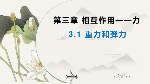 3.1 重力和弹力