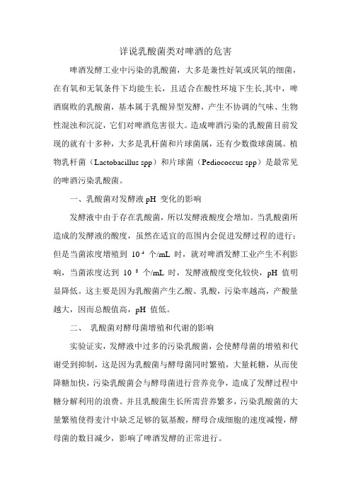 乳酸菌类对啤酒的危害
