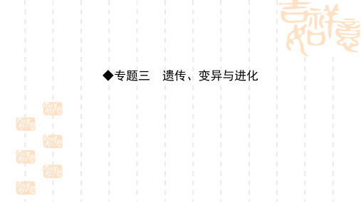 高考生物二轮专题配套ppt课件：3.6遗传的分子基础