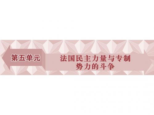 历史人教版选修2第五单元第1课法国大革命的最初胜利课件