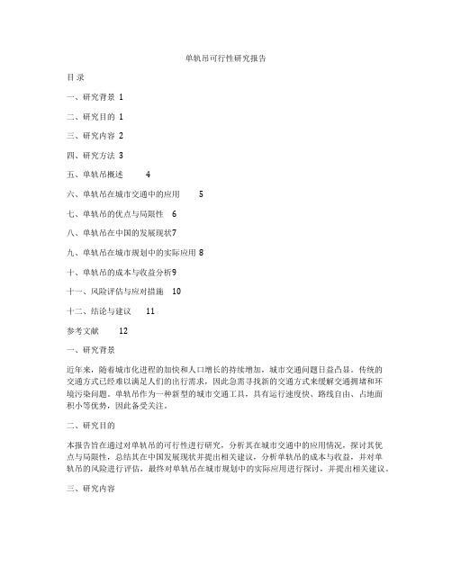 单轨吊可行性研究报告