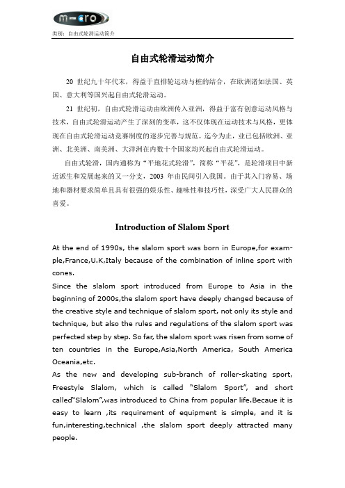 自由式轮滑运动简介