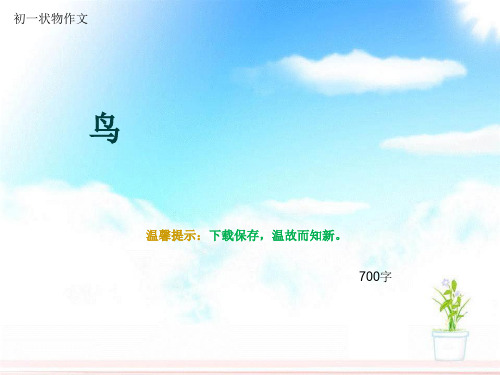 初一状物作文《鸟》700字