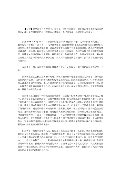 开在废墟上的花