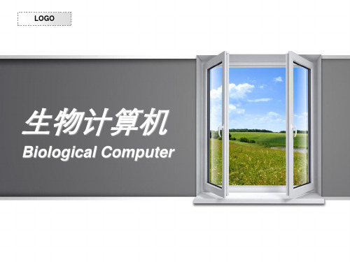 生物计算机