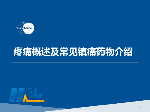 无痛化病房镇痛方案ppt课件