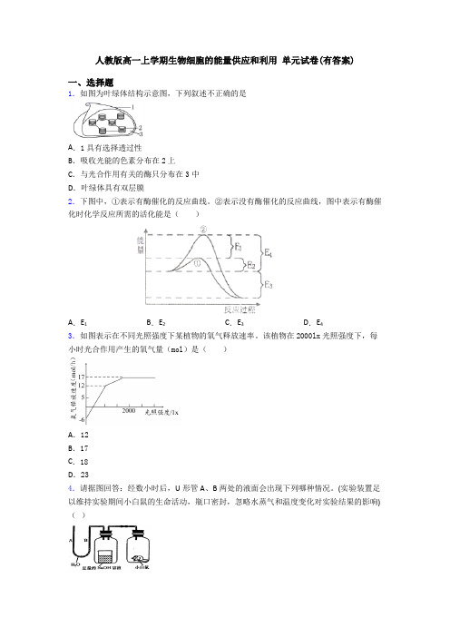 人教版高一上学期生物细胞的能量供应和利用 单元试卷(有答案)