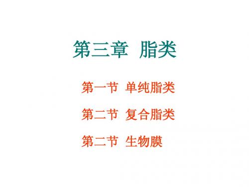 03脂类
