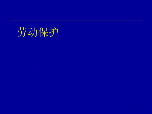 劳动保护PPT课件