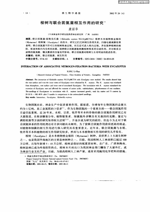 桉树与联合固氮菌相互作用的研究