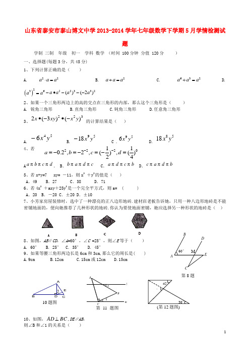 山东省泰安市泰山博文中学七年级数学下学期5月学情检测试题(无答案) 青岛版