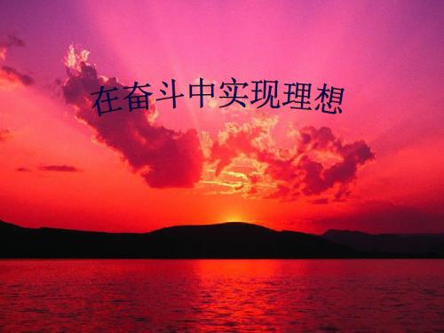 政治：7.3.3《在奋斗中实现理想》课件(2)(大纲版高二下)