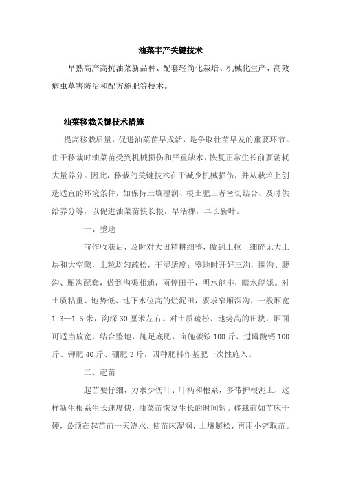 油菜丰产关键技术