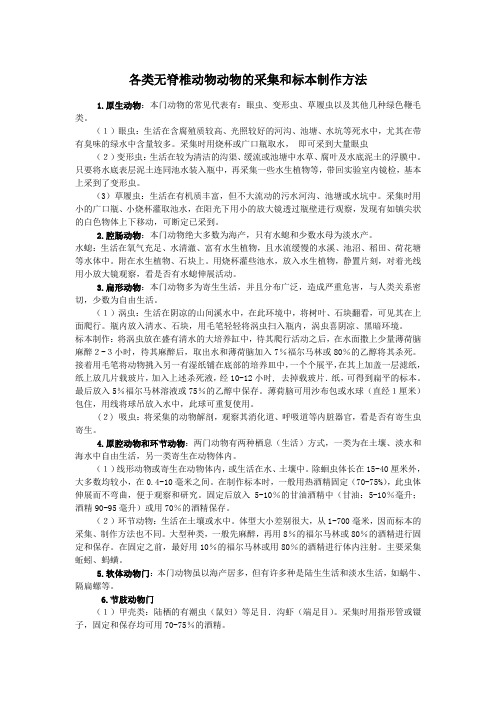 各类无脊椎动物的采集和处理方法