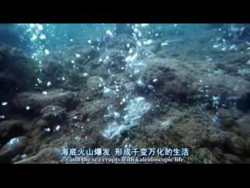 《鱼儿游游》课件
