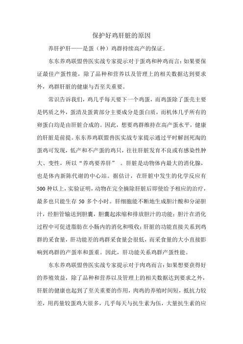 保护好鸡肝脏的原因