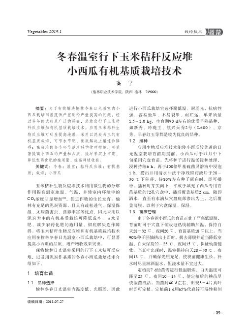 冬春温室行下玉米秸秆反应堆小西瓜有机基质栽培技术