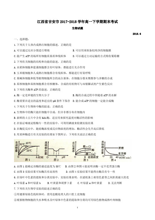 江西省吉安市2017-2018学年高一下学期期末考试生物试题