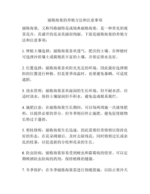 丽格海棠的养殖方法和注意事项