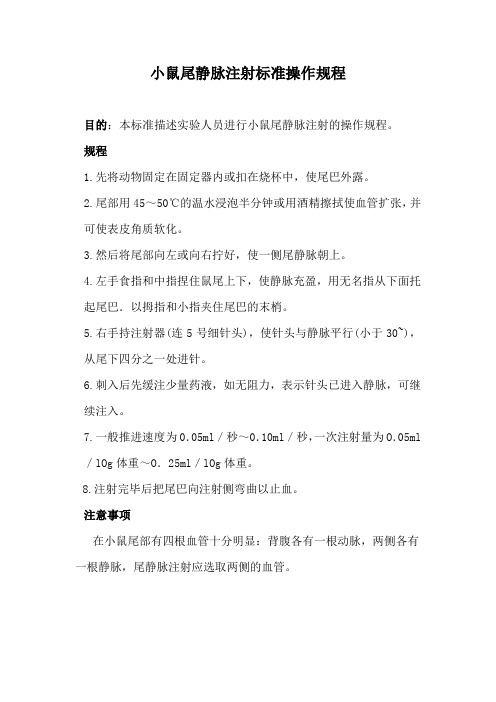 小鼠尾静脉注射标准操作规程