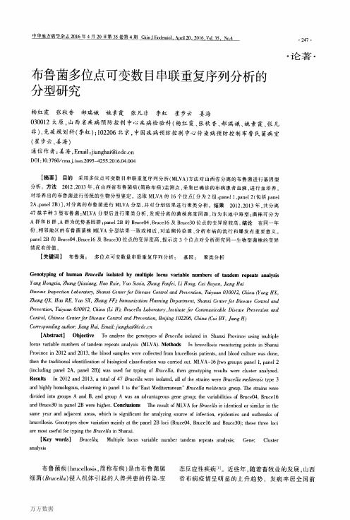 布鲁菌多位点可变数目串联重复序列分析的分型研究重点