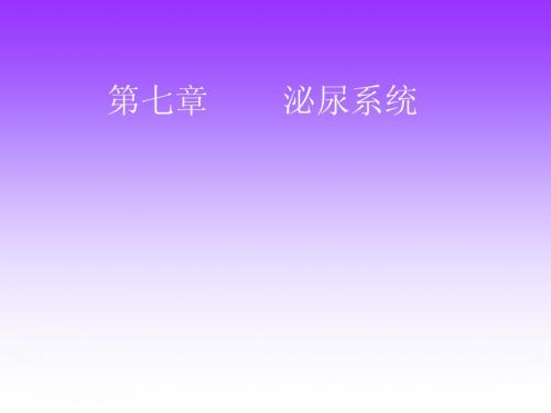 Unit 7 泌尿系统 医学英语