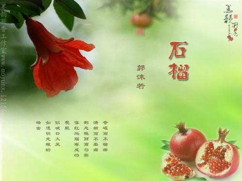 01初中语文版七年级下册《石榴》借鉴之作