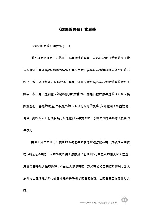 《燃烧的男孩》读后感