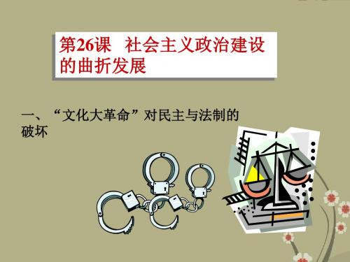 高中历史社会主义政治建设的曲折发展课件 岳麓版 必修1
