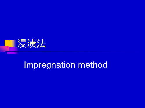 材料学中浸渍法的课件.ppt