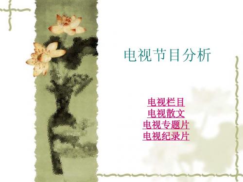 电视节目分析