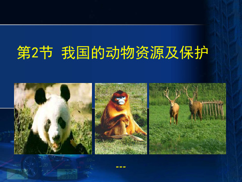 北师大版八上第十七章第二节我国的动物资源及保护(共32张PPT)