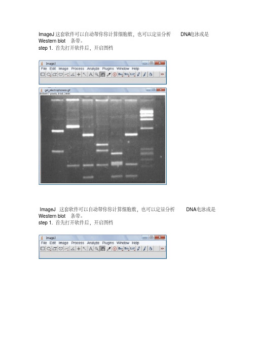imagej常用功能教程