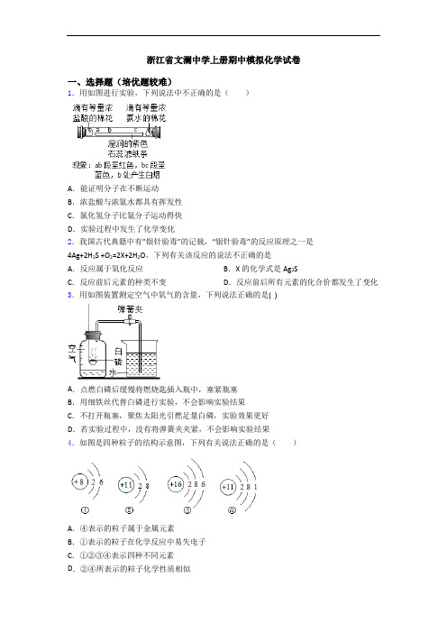 浙江省文澜中学上册期中模拟化学试卷