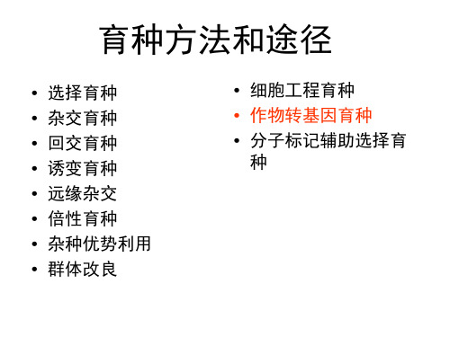 作物育种学：作物转基因育种