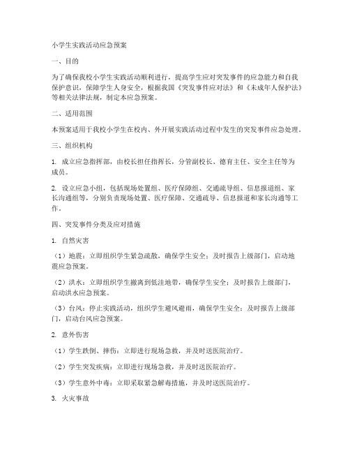 小学生实践活动应急预案