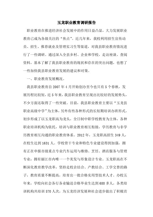 玉龙职业教育调研报告