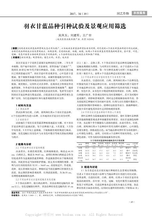 羽衣甘蓝品种引种试验及景观应用筛选