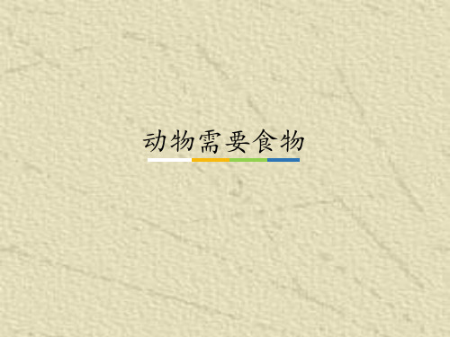 《动物需要食物》PPT完美课件粤教版小学1