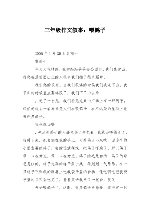 三年级作文叙事：喂鸽子