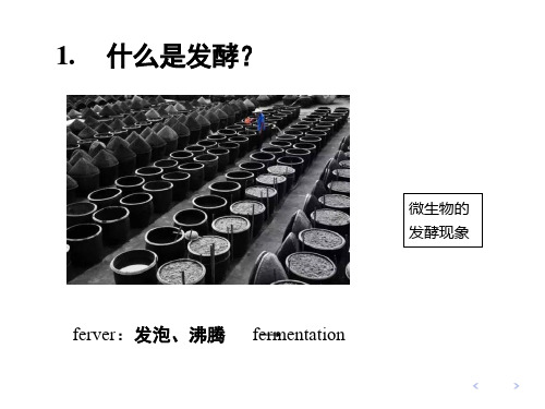 发酵工程原理 绪论
