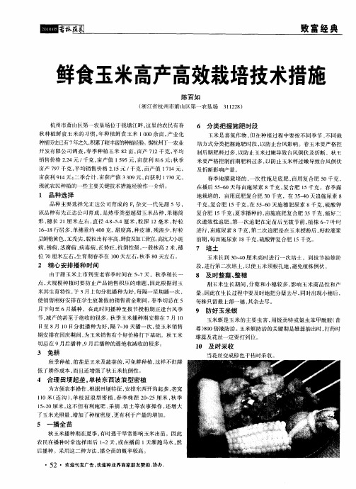 鲜食玉米高产高效栽培技术措施