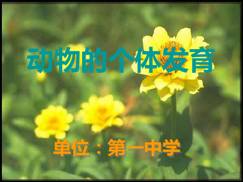 动物的个体发育PPT课件