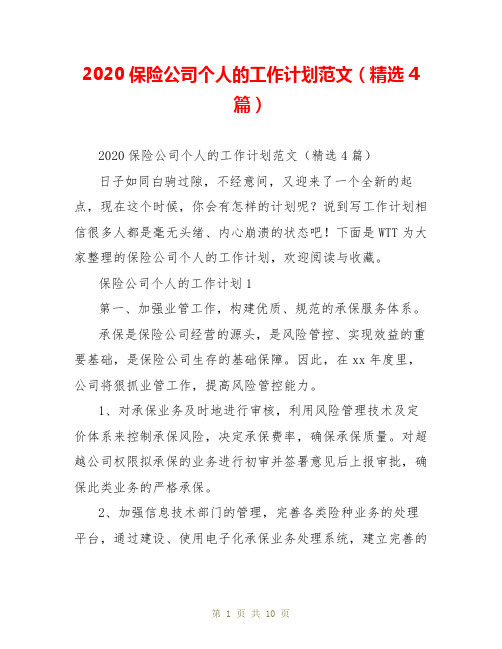 2020保险公司个人的工作计划范文(精选4篇)