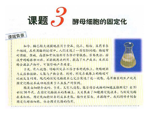 上课课题3酵母细胞的固定化