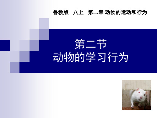 鲁科版生物八年级上册7.2.2《先天性行为和学习行为》课件
