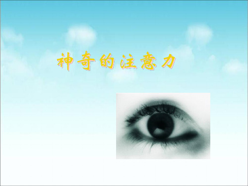 神奇的注意力PPT