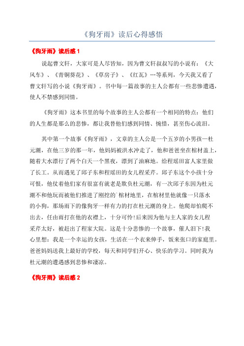 《狗牙雨》读后心得感悟